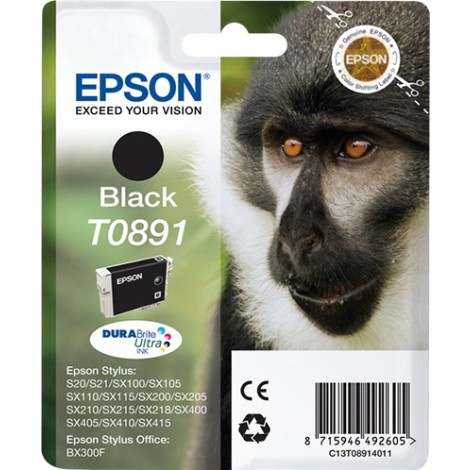 Epson T0891 Black
