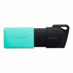 Kingston DT M Exodia 256 GB USB 3.2